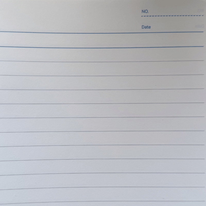 Quaderno " Diario di una povera pazza  "