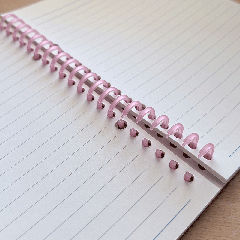 Quaderno " Diario di una povera pazza  "